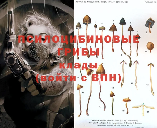 кокаин колумбия Абаза