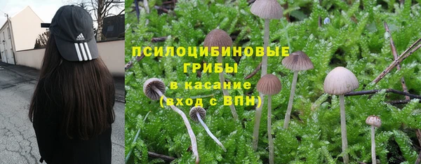 гидропоника Алзамай