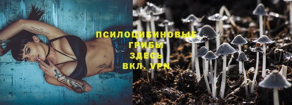 гидропоника Алзамай