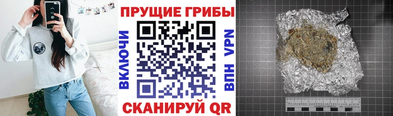 Галлюциногенные грибы прущие грибы ОМГ ОМГ как зайти Новопавловск